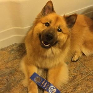 Fundraising Page: Deanna Crane